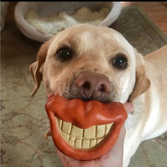 Meet your Posher, Heidi - Picture 1 of 1